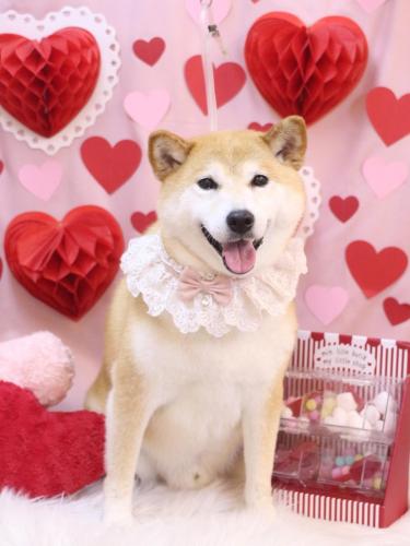 20240229平太くん